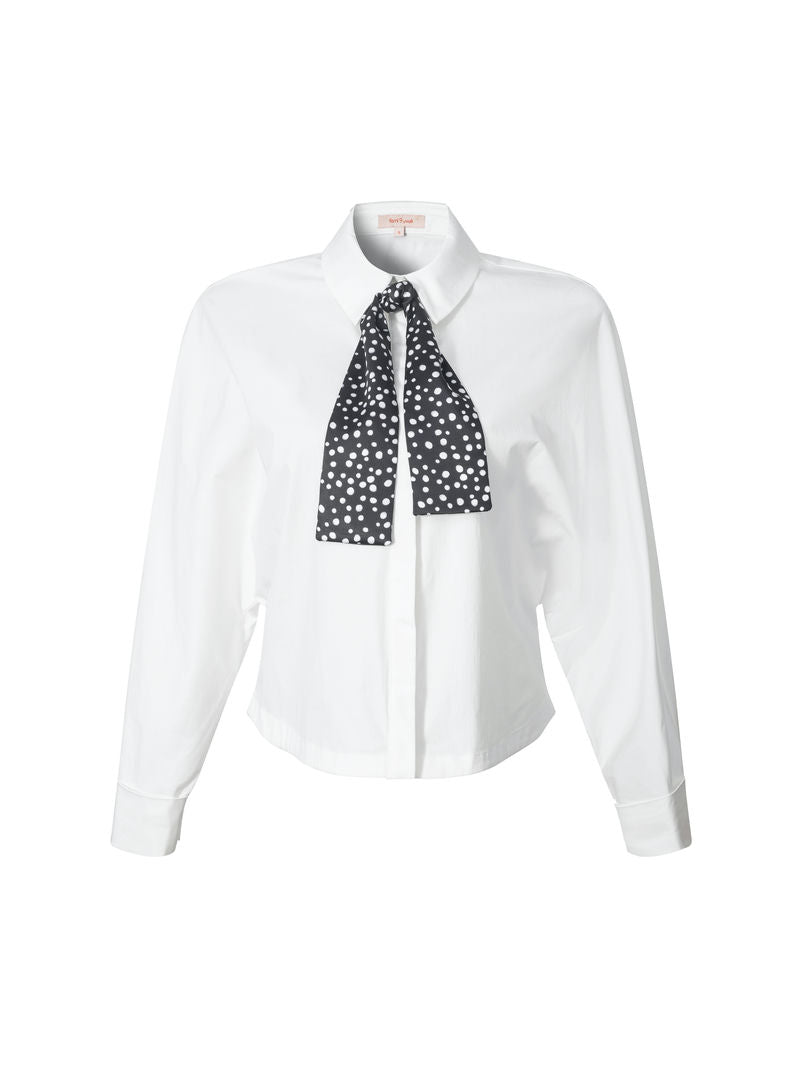 Neck-tie collar shirt
