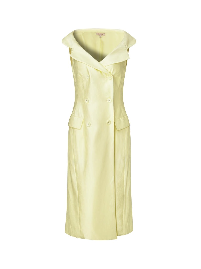 Sunlit Elegance Dress