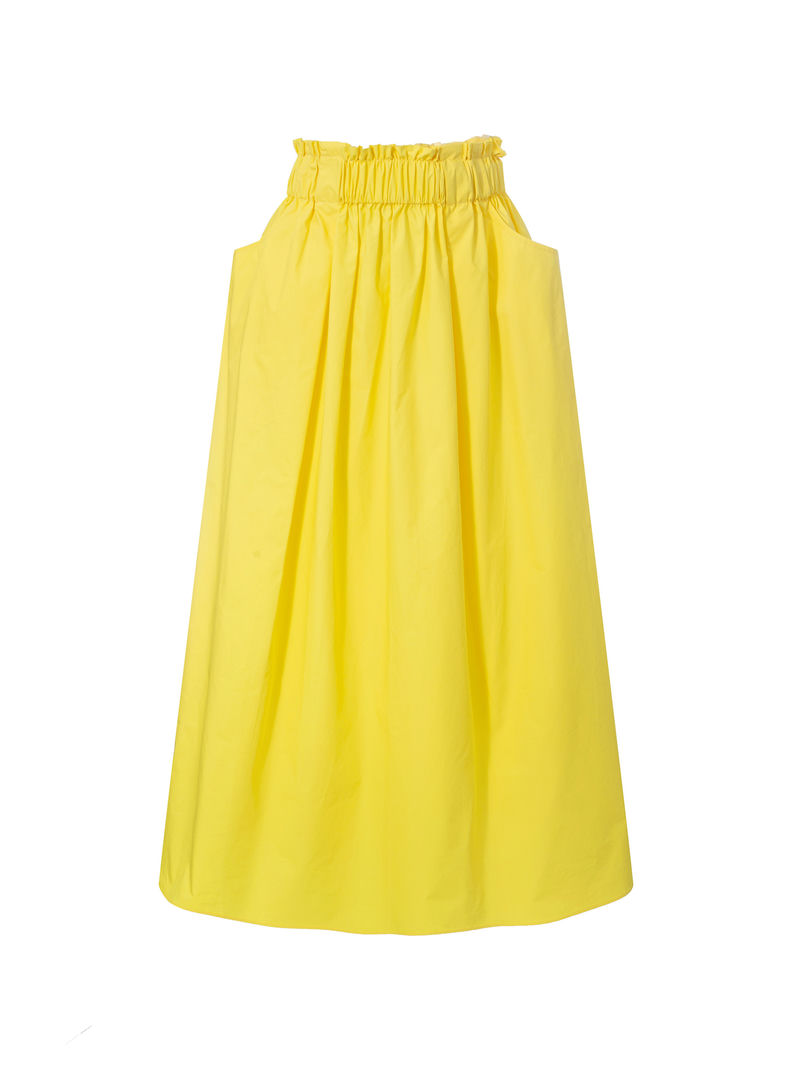 Rushed Waistband Skirt