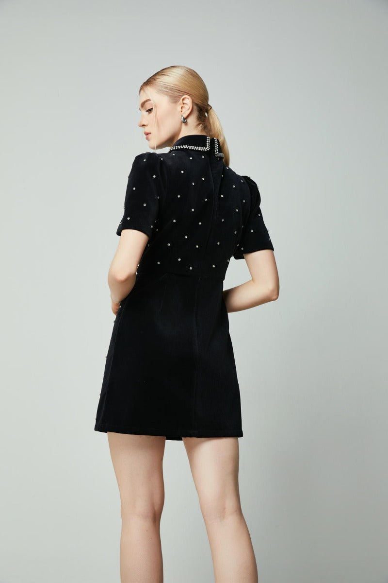 Collar embellishments dress