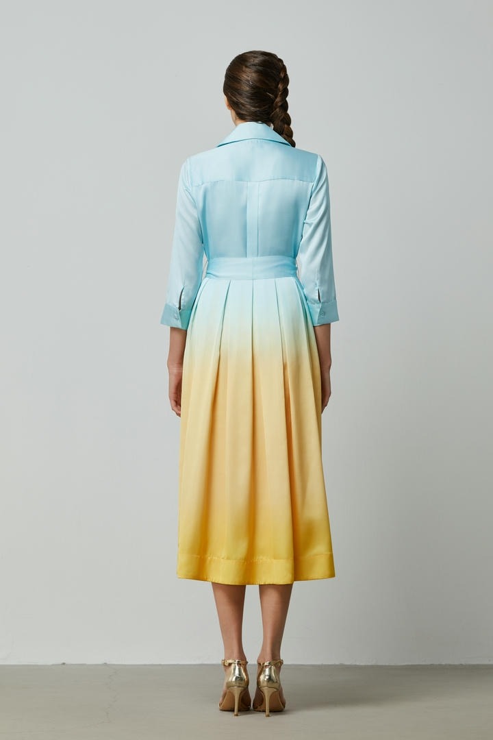 Ombre Elegance Dress