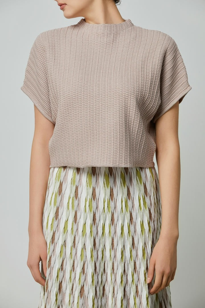 Knit high collar top