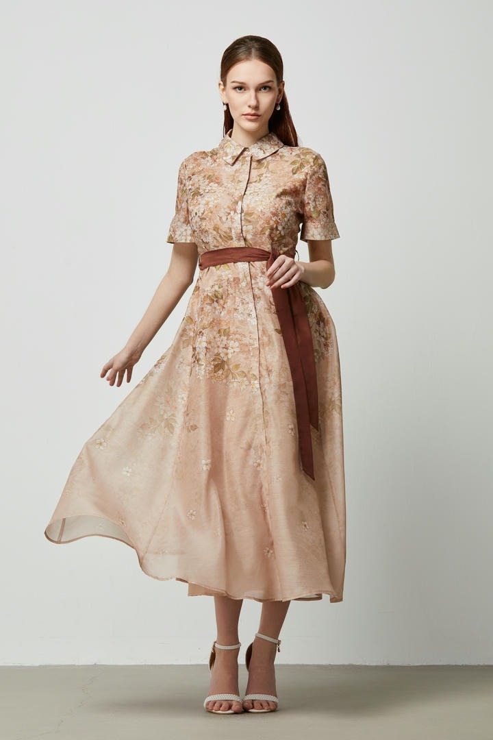 Printed Shirt Dress