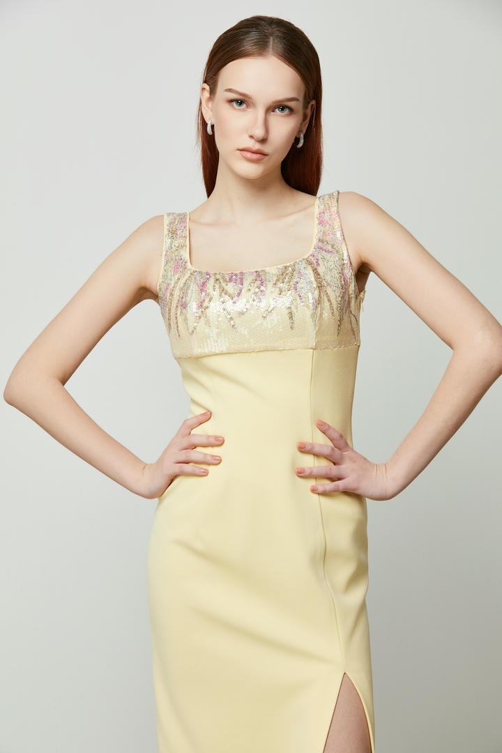 Midi Sequin Panel Dress