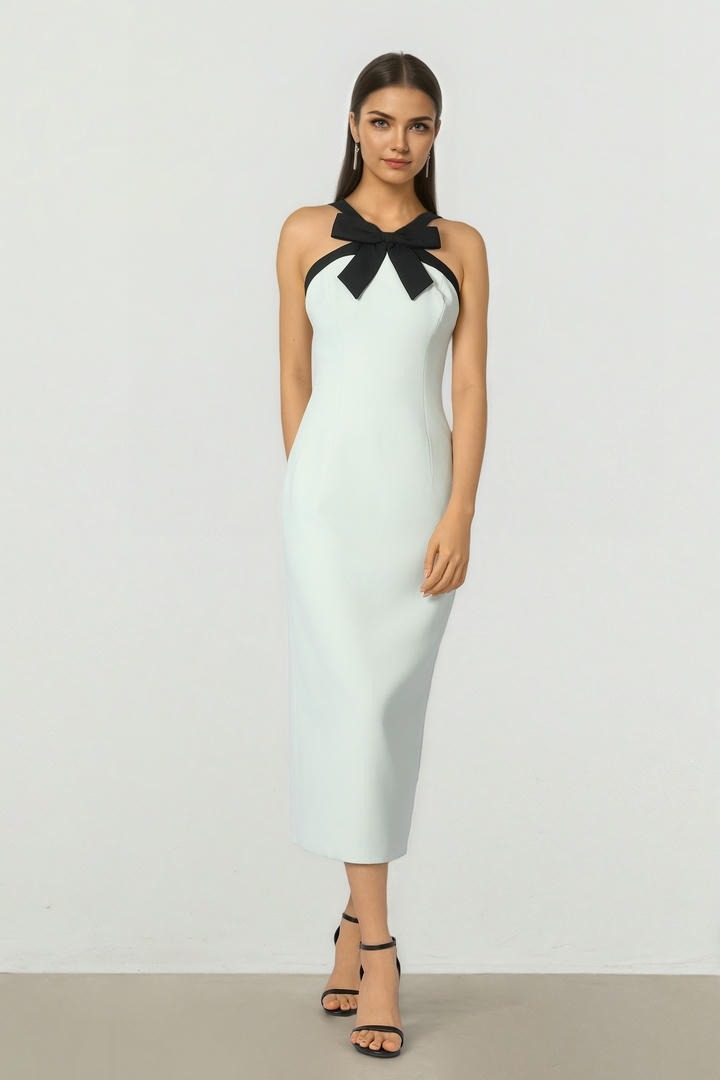 Bow Collar Dress