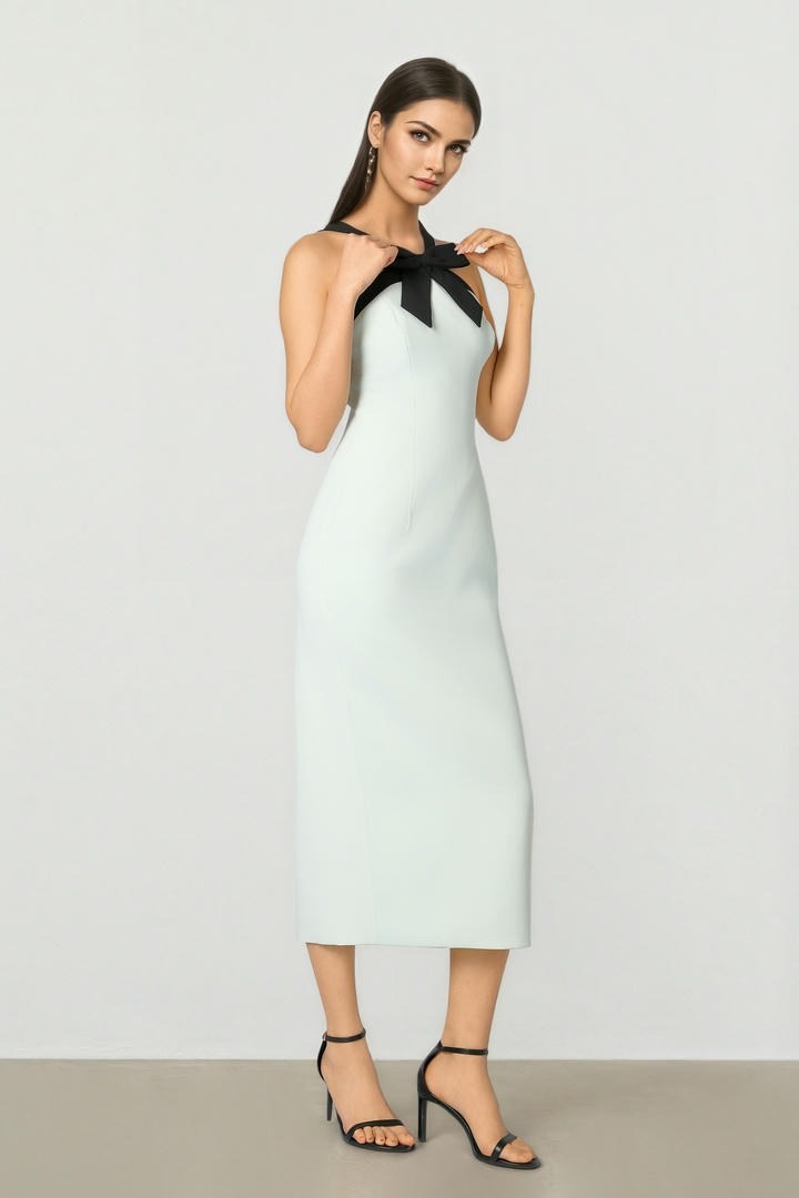 Bow Collar Dress
