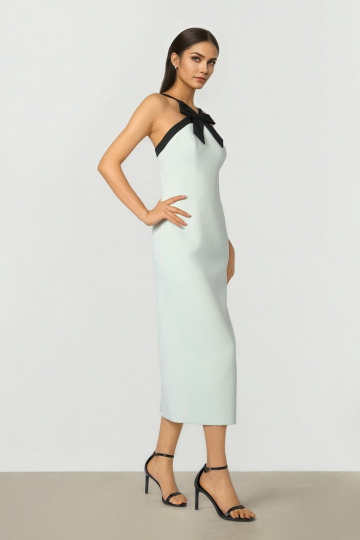 Bow Collar Dress