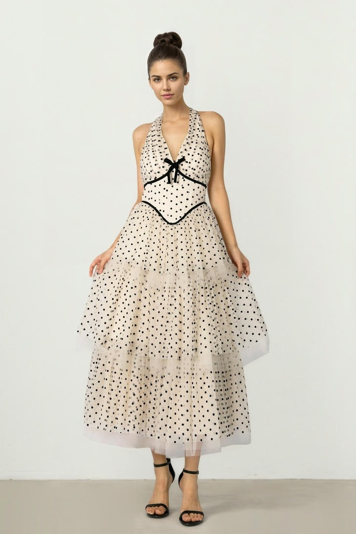 Beige & Black Mesh Dress