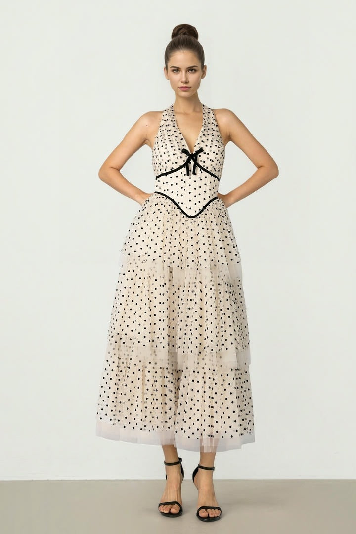 Beige & Black Mesh Dress