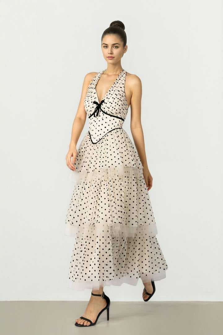 Beige & Black Mesh Dress