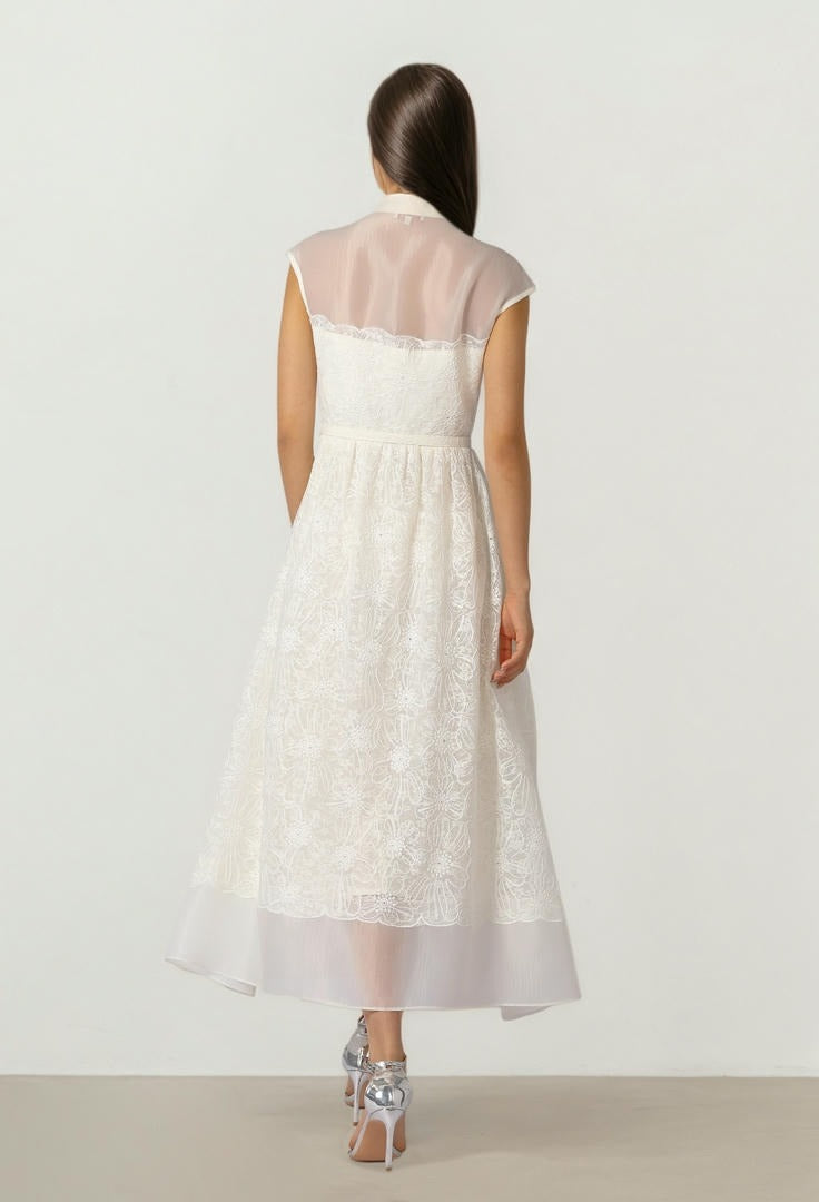 Draped Collar Dress