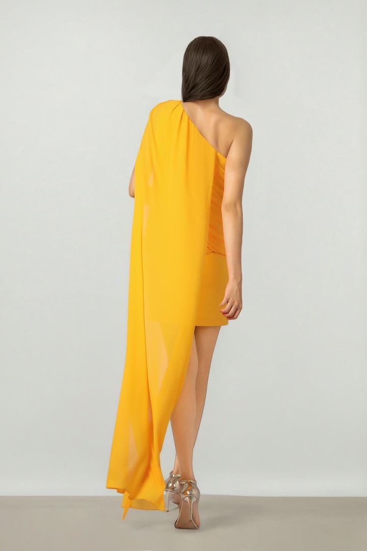 BACK CAPE DRESS