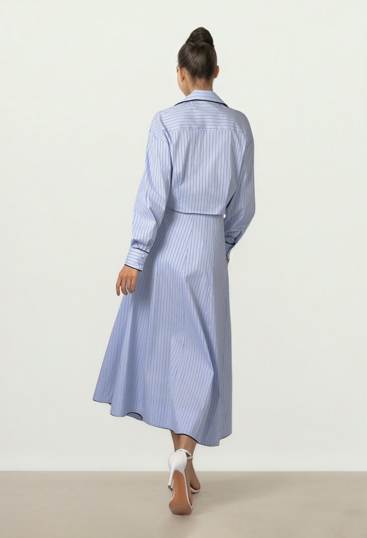 Striped Poplin Skirt