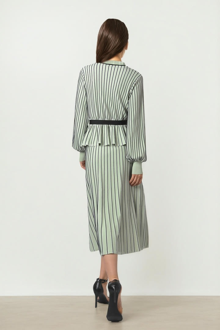 Striped A -Line Skirt