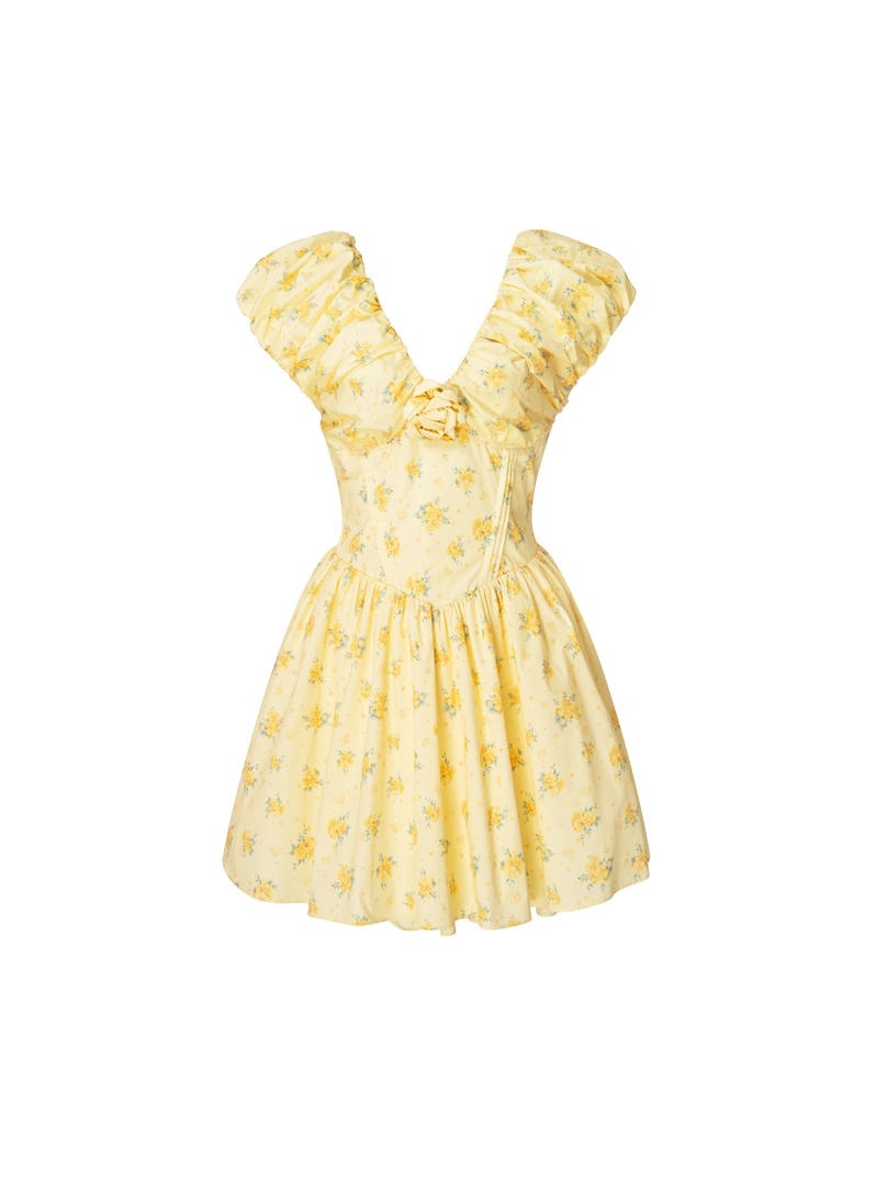 Printed Mini Dress