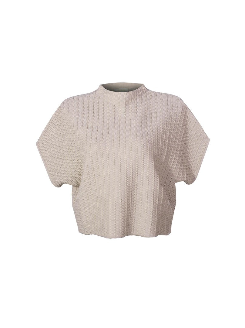 Knit high collar top