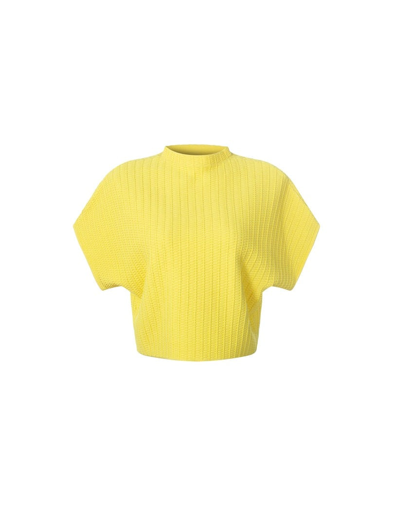 Knit Crop Top