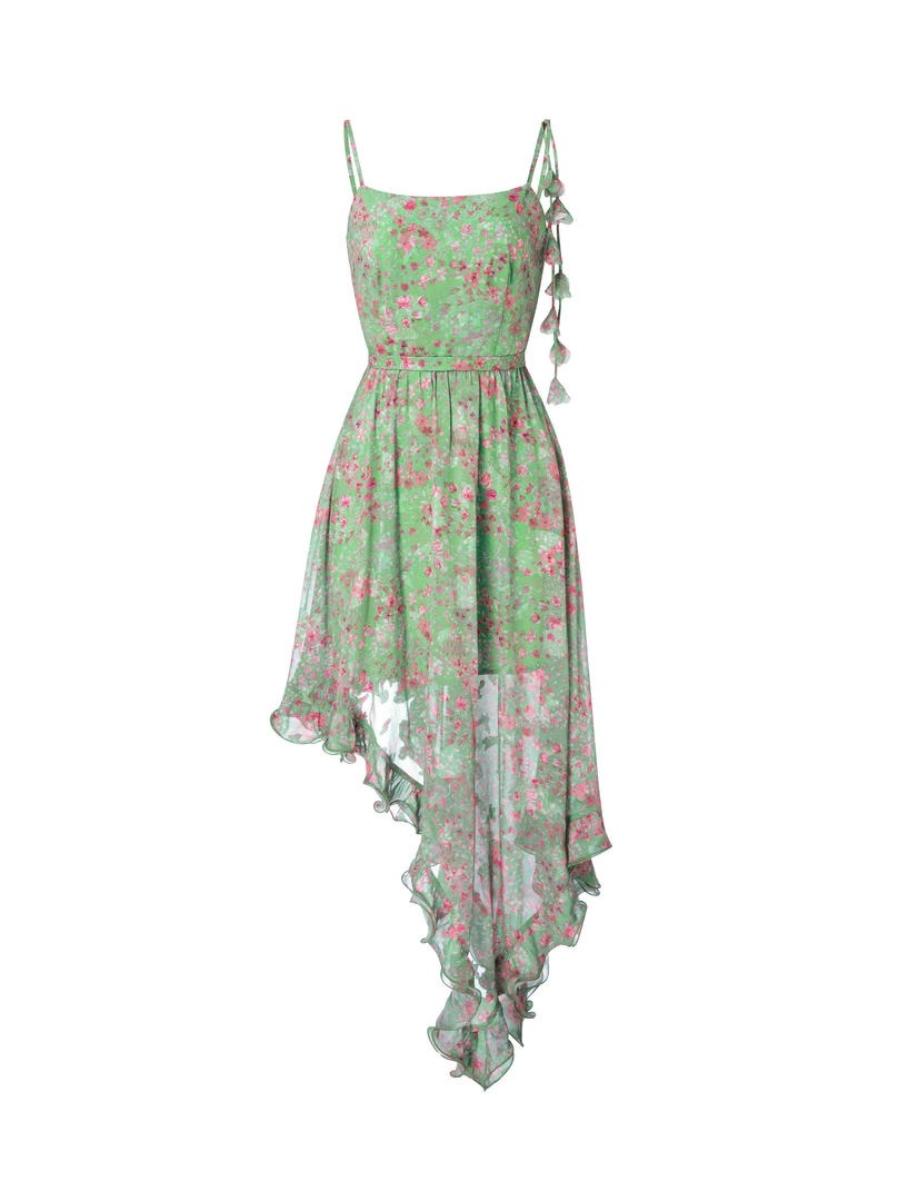Floral Chiffon Dress