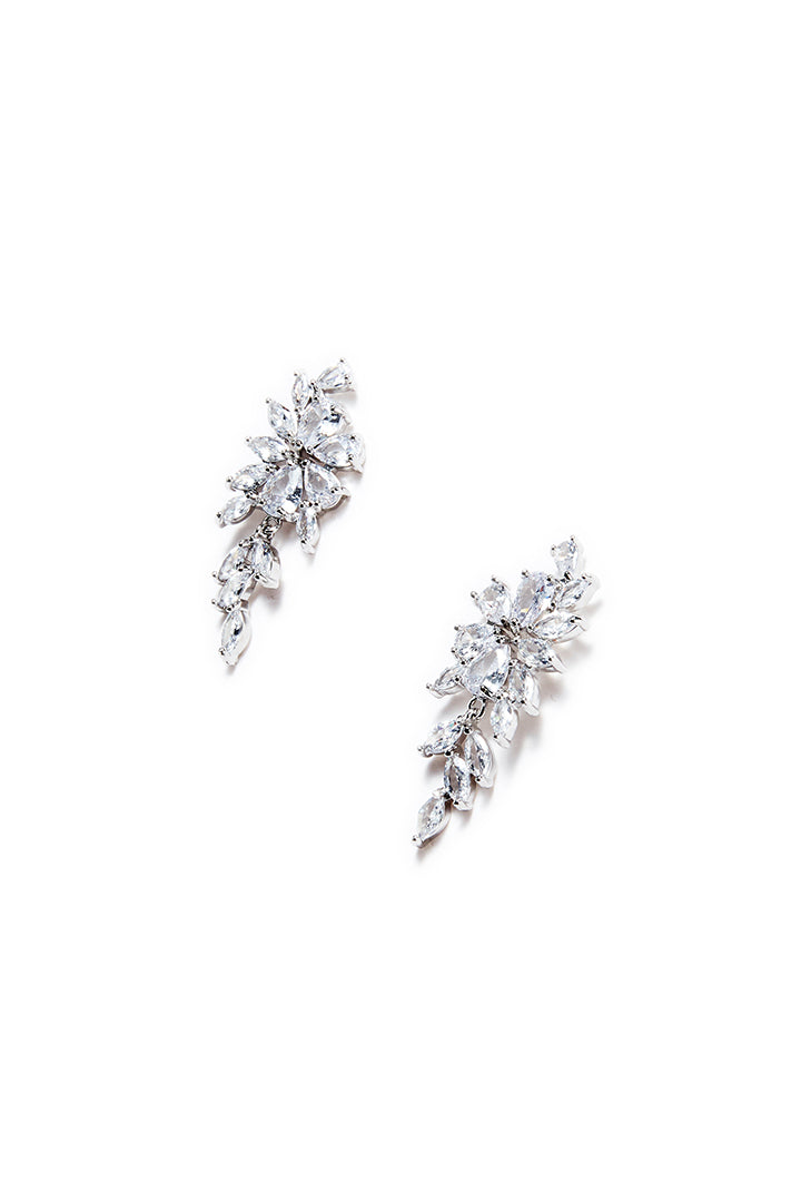 Silver tone earrings